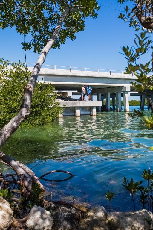 Creekside Inn Islamorada Tavernier Extérieur photo